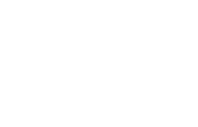 NCSI website 2018-Art contest logo-white-40