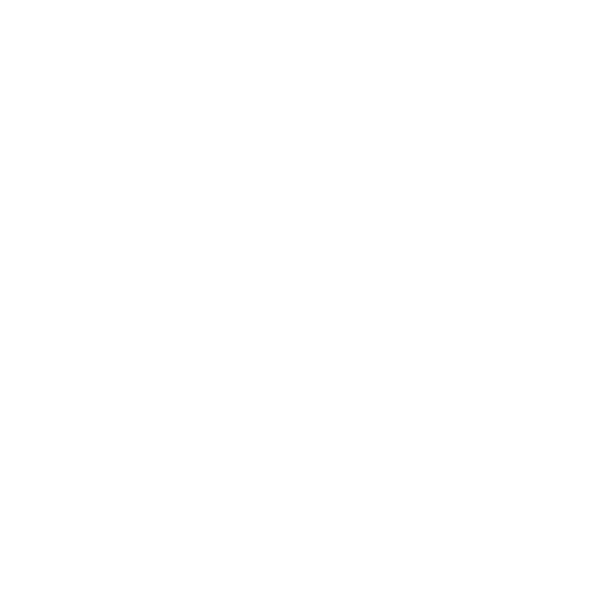 Plan to win logo -white-05
